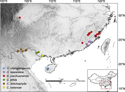 Genome-Wide Evidence for Complex Hybridization and Demographic History in a Group of Cycas From China